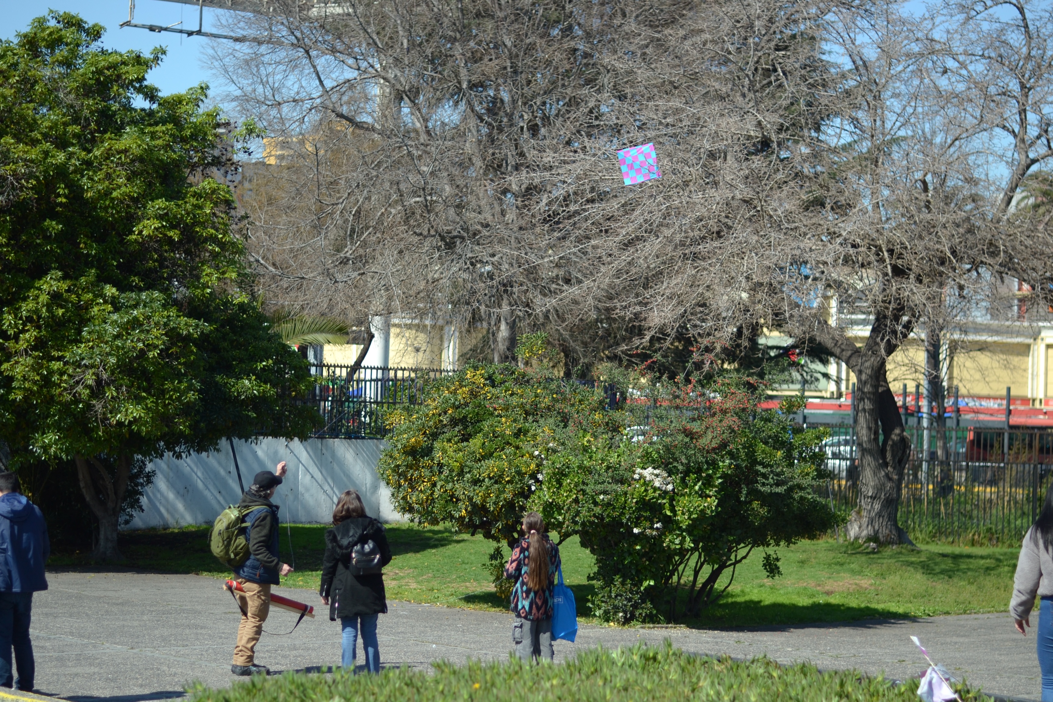Galería de fotos: Revisa lo que fue el Día de Los Patrimonios para Infancias en la Usach